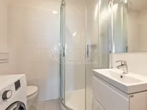 Pronájem bytu 1+kk, Praha - Nusle, V Horkách, 17 m2