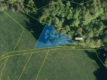 Dražba lesa, Zděchov, 1022 m2