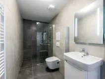 Pronájem bytu 2+kk, Plzeň, Františka Kováříka, 45 m2