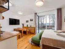 Prodej bytu 1+kk, Lipno nad Vltavou, 31 m2