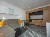 Pronájem bytu 1+kk, Praha - Chodov, Švabinského, 25 m2