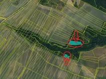 Prodej podílu lesa, Výrovice, 1459 m2