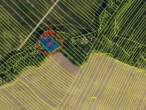 Prodej lesa, Mistřice, 1951 m2