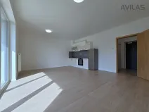 Pronájem bytu 1+kk, Benešov, 102. pluku, 38 m2