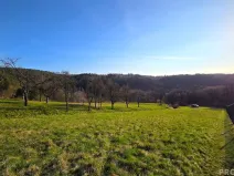 Prodej zahrady, Vyškov, 558 m2