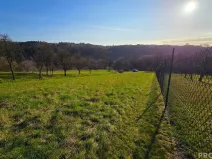 Prodej zahrady, Vyškov, 558 m2