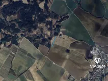 Prodej pole, Mlázovice, 5121 m2