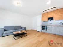 Pronájem bytu 1+kk, Brno - Zábrdovice, Bratislavská, 36 m2