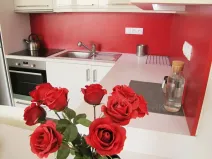 Pronájem bytu 1+kk, Praha - Nusle, Kloboučnická, 33 m2