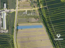 Prodej pole, Syrovín, 1291 m2