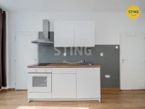 Pronájem bytu 1+kk, Ostrava, Francouzská, 21 m2