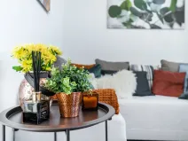 Pronájem bytu 2+kk, Albrechtice nad Orlicí, 1. máje, 32 m2