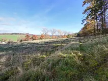 Prodej pozemku pro bydlení, Daleké Dušníky, 1217 m2