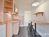 Pronájem bytu 2+1, Brno, Palackého třída, 60 m2