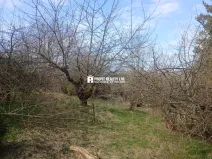 Prodej pozemku pro bydlení, Hronov, 973 m2