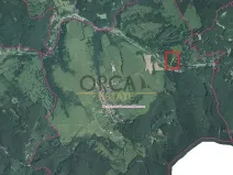 Prodej podílu louky, Nová Lhota, 377 m2