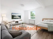 Pronájem bytu 1+kk, Havířov - Město, Kolmá, 25 m2