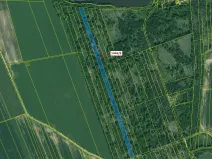 Dražba lesa, Břehov, 20146 m2