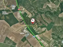 Prodej sadu/vinice, Velké Němčice, 2803 m2