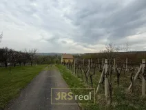 Prodej pozemku, Hroznová Lhota, 2997 m2