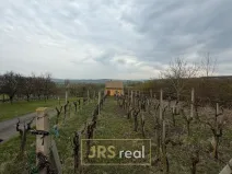 Prodej pozemku, Hroznová Lhota, 2997 m2