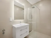 Prodej bytu 2+kk, Praha - Žižkov, Přibyslavská, 56 m2