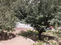 Prodej zahrady, Klášterec nad Ohří - Mikulovice, 302 m2