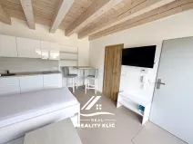 Pronájem bytu 1+kk, Hlučín, Opavská, 22 m2