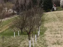 Prodej zahrady, Uherský Brod, 899 m2