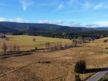 Prodej pozemku pro bydlení, Orlické Záhoří, 2503 m2