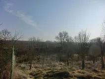 Prodej zahrady, Kunovice, 878 m2