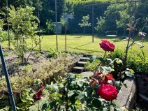 Prodej rodinného domu, Třemošná, 1. máje, 484 m2