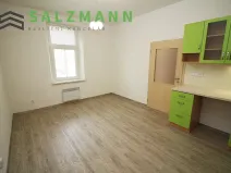 Pronájem bytu 2+kk, Plzeň, Úslavská, 38 m2