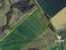 Prodej pole, Záhorovice, 1644 m2