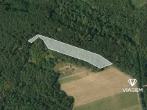 Prodej podílu lesa, Dolní Kounice, 1559 m2