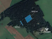 Prodej lesa, Chodská Lhota, 5730 m2