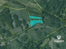 Prodej lesa, Dačice, 13651 m2