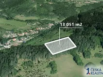Prodej podílu lesa, Koroužné, 3262 m2