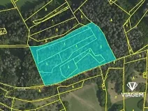 Prodej podílu lesa, Koroužné, 3262 m2