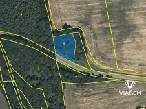 Prodej podílu lesa, Mladějov na Moravě, 1594 m2