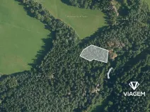 Prodej podílu lesa, Bošice, 1711 m2