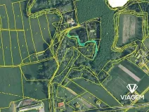 Prodej lesa, Petrovice u Karviné, 566 m2