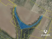 Prodej podílu lesa, Mělnické Vtelno, 8584 m2