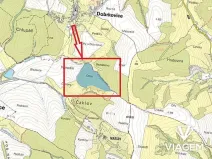 Prodej podílu lesa, Pašovice, 28955 m2