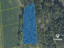 Prodej podílu lesa, Koloveč, 707 m2