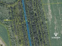 Prodej podílu lesa, Koloveč, 427 m2