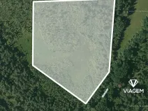 Prodej podílu lesa, Veselí nad Lužnicí, 20552 m2