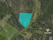 Prodej podílu lesa, Veselí nad Lužnicí, 20552 m2