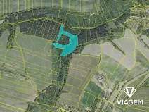 Prodej podílu lesa, Chlum, 2805 m2