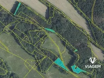 Prodej podílu lesa, Horní Habartice, 2358 m2